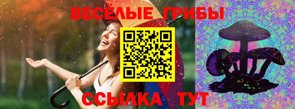 цена наркотик  Галлюциногенные грибы прущие грибы  Вход с VPN  Псилоцибиновые грибы Psilocybine cubensis  Выборг 